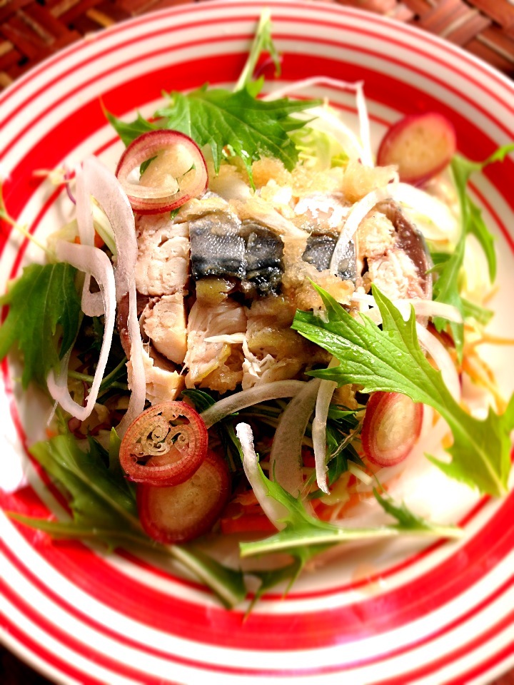 Salad to be beautiful of salt mackerel&potherb mustard😍塩鯖と水菜の美人サラダ